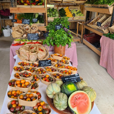 Jardin d'Aliwen - Légume 13