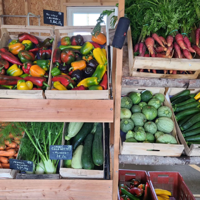 Jardin d'Aliwen - Légume 14