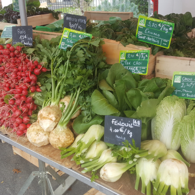 Jardin d'Aliwen - Légume 21