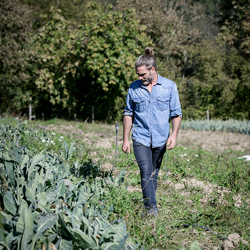 Thom pousse champ (2)