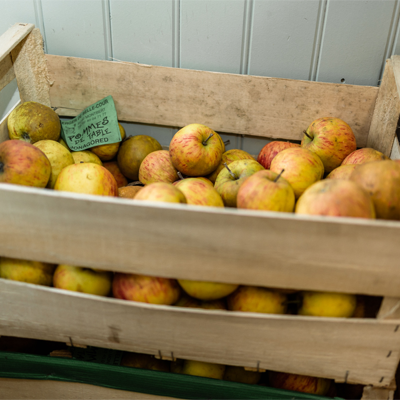 cagette pommes