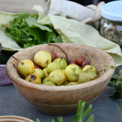 saladier pommes