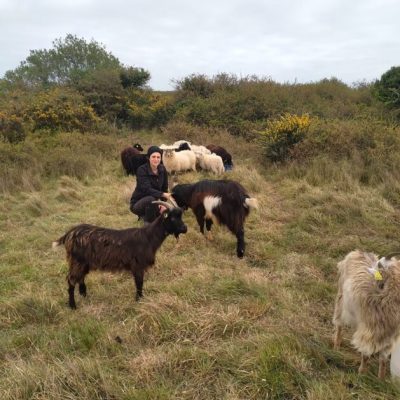 tiphaine-dubreil_1_credits-pnr-briere