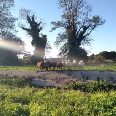 tiphaine-dubreil_credits-pnr-briere