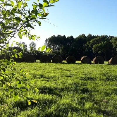ferme du petit grain champs