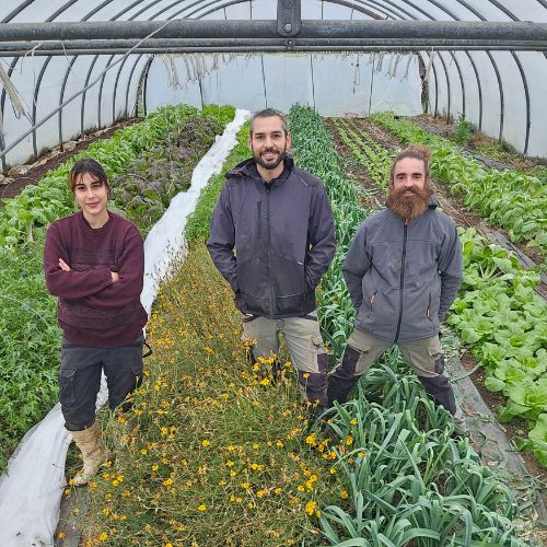 LA FERME DE MAUBREUILLégumes